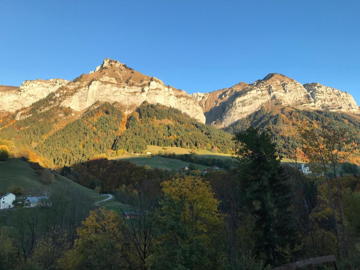 Magnifique T3 Entre Lac Et Montagne Pres D'Annecy Montmin Kültér fotó